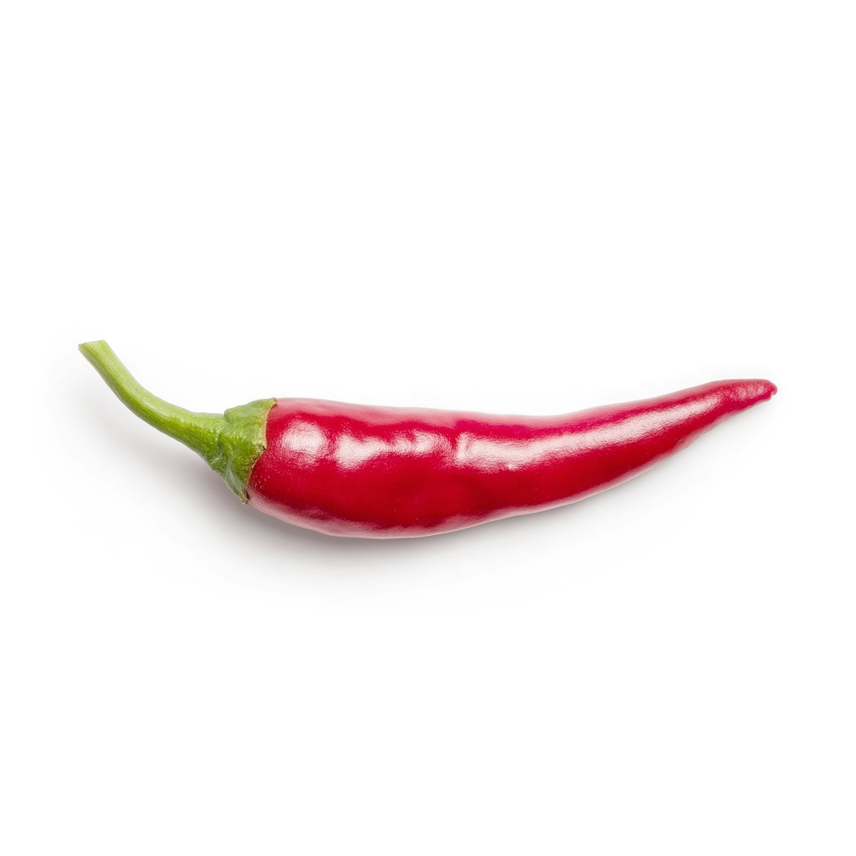 Teja Byadagi Red Chili